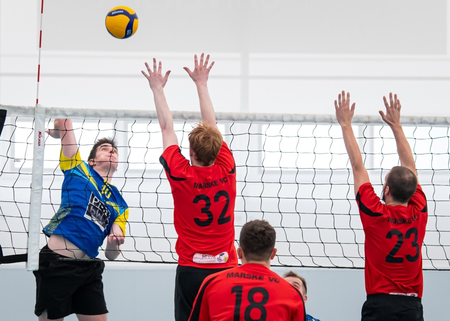 Mikasa shorts volleyball shop