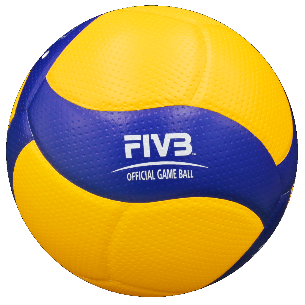 Mikasa V200W Indoor Volleyball